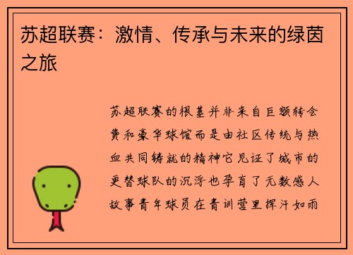 苏超联赛：激情、传承与未来的绿茵之旅